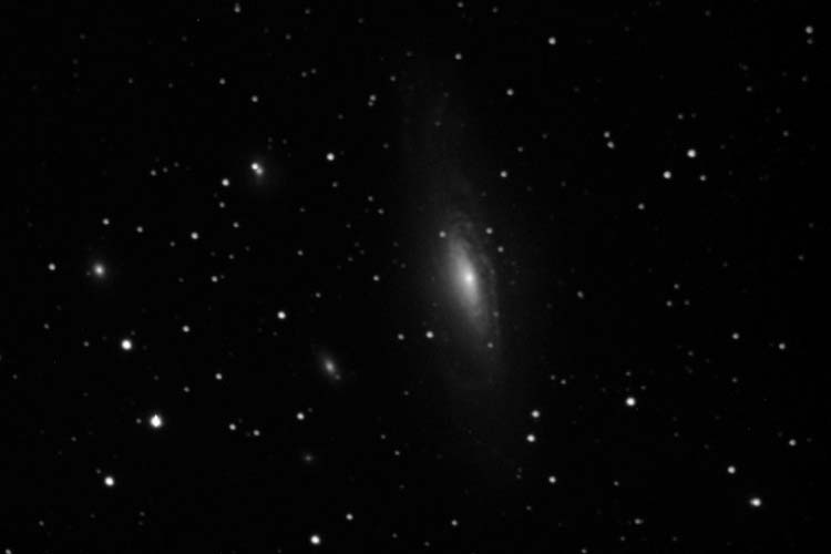 NGC7331